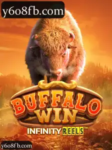 BuffaloWin